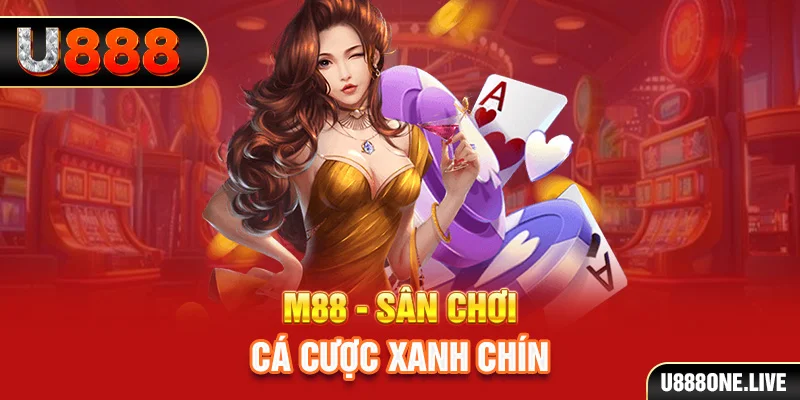 xo so 888 gà chọi cậu thanh