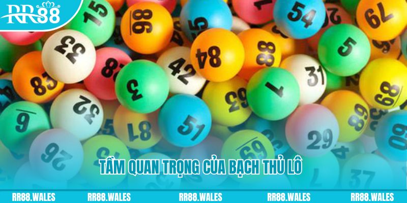 đá gà trực tiếp casino