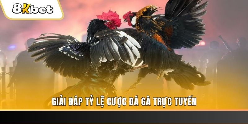 xo so 888 xổ số ba đài