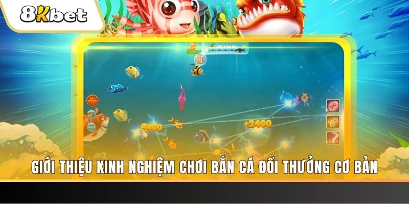 xo so 888 8 bí ẩn chơi nổ hũ ít ai biết