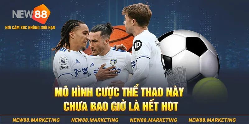 xo so 888 gà chọi c1 thomo