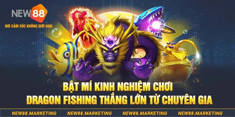 xo so 888 who wants to be a millionaire slot